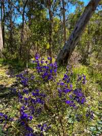 🌄 Kalamunda National Park – Nature’s Hidden Retreat Near Perth