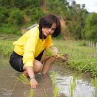 เลอชิปูโฮมสเตย์ เชียงใหม่