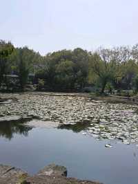 เมืองโบราณ tongling