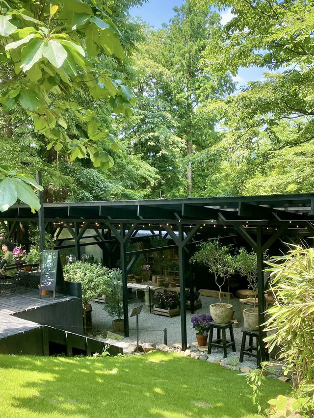 🌸 Garden Strolls & Gourmet Picnics at Nicolai Bergmann Hakone Gardens