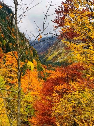 🏞️🏔️ Durmitor National Park – Montenegro’s Mountain Paradise