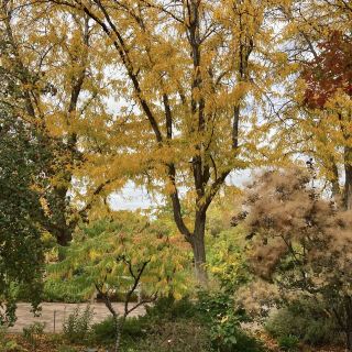 Idaho Botanical Garden