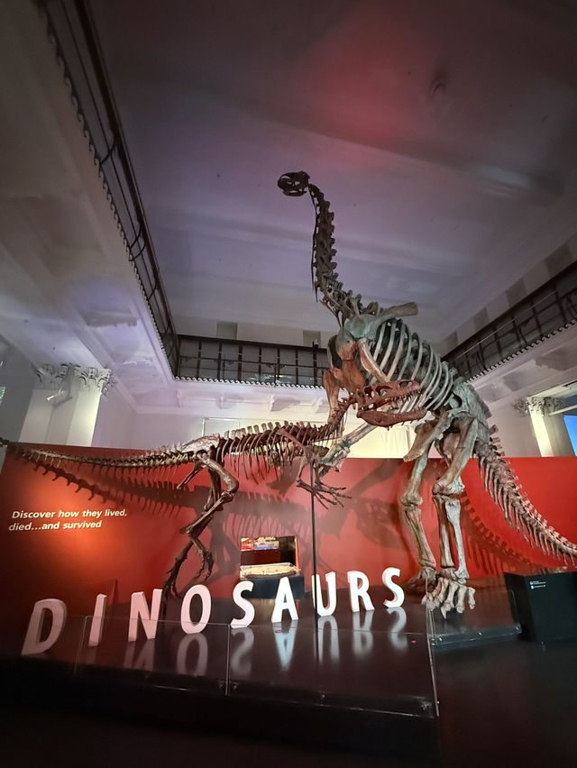 A Day of Discovery at the Australian Museum 🦴🦋
