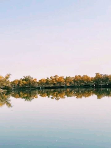 金色秋日小夜曲