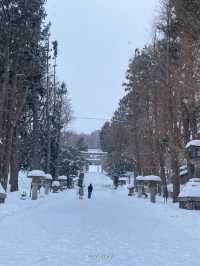 #삿포로 근교 낭만적인 항구도시 #오타루 ❄️❄️🧣