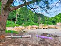 【鳳凰徑第9段~籮箕灣 ⭐】