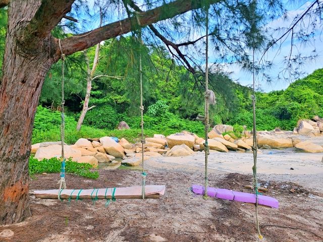 【鳳凰徑第9段~籮箕灣 ⭐】