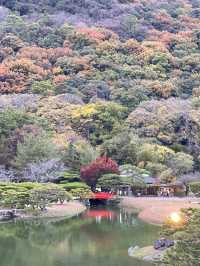 11월에 가면 단풍 맛집 다카마쓰 리쓰린 공원