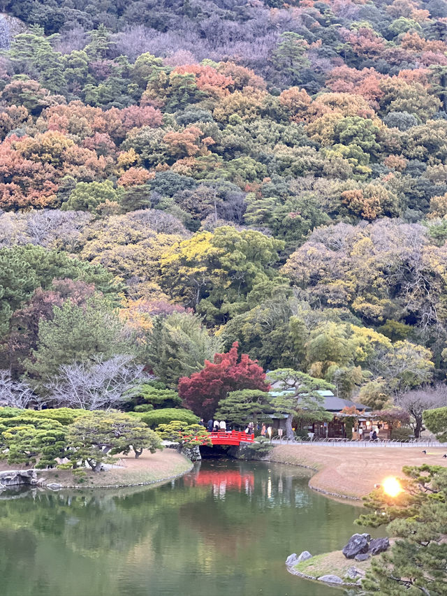 11월에 가면 단풍 맛집 다카마쓰 리쓰린 공원 11월에 가면 단풍 맛집 다카마쓰 리쓰린 공원