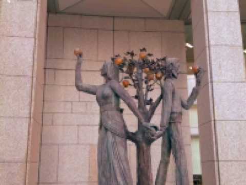 🏙️ Tokyo Metropolitan Government Building South Observatory — A Sky-High View for Free