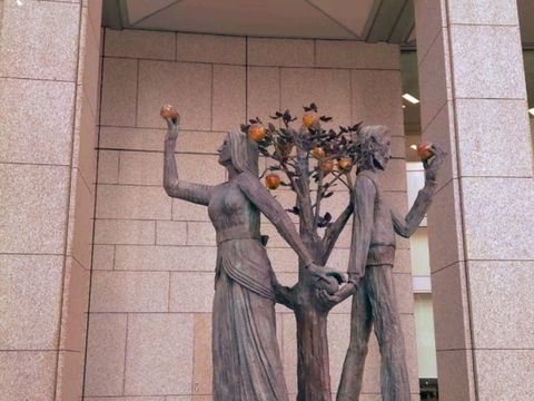 🏙️ Tokyo Metropolitan Government Building South Observatory — A Sky-High View for Free