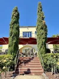 薰衣草與葡萄酒的浪漫邂逅