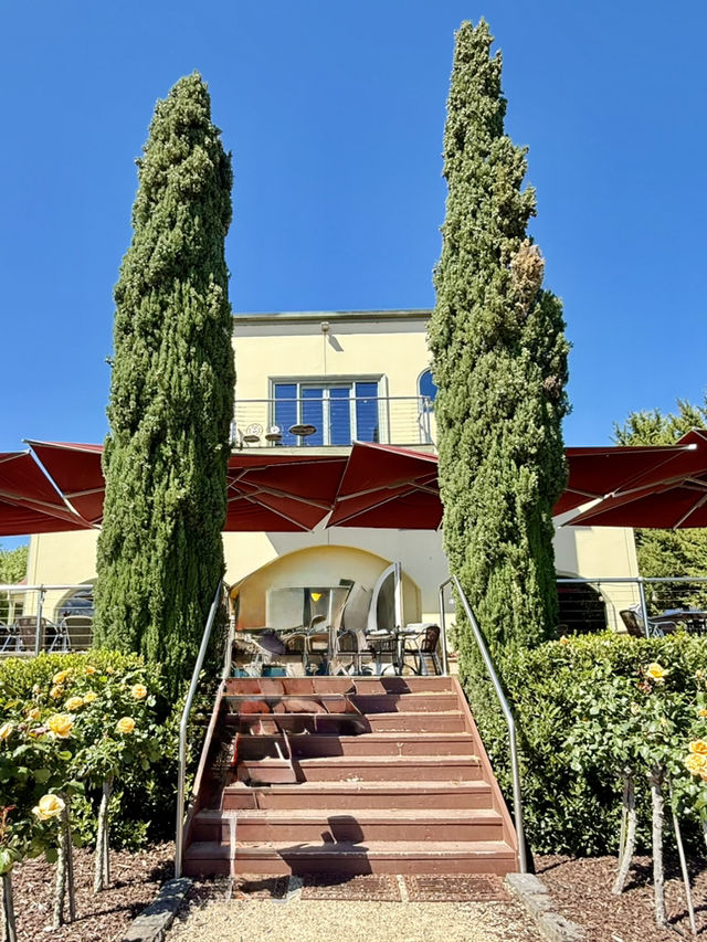 薰衣草與葡萄酒的浪漫邂逅 薰衣草與葡萄酒的浪漫邂逅