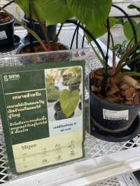 SAMA Garden at BITEC BURI🪴