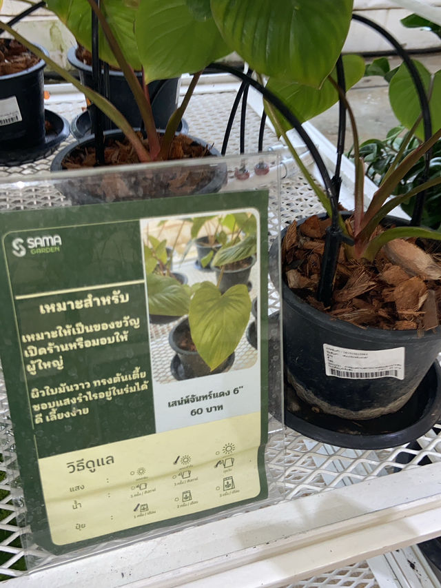 SAMA Garden at BITEC BURI🪴