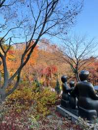 🌿걷기 좋은 아차산 산책로