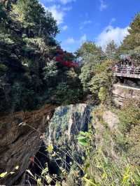 中國湖南張家界一日遊 武陵源 張家界 天子山 金鞭溪
