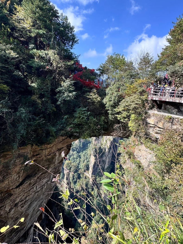 中國湖南張家界一日遊 武陵源 張家界 天子山 金鞭溪 中國湖南張家界一日遊 武陵源 張家界 天子山 金鞭溪
