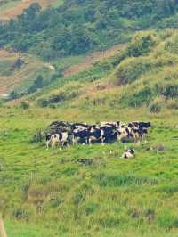 馬來西亞🇲🇾神山國家公園