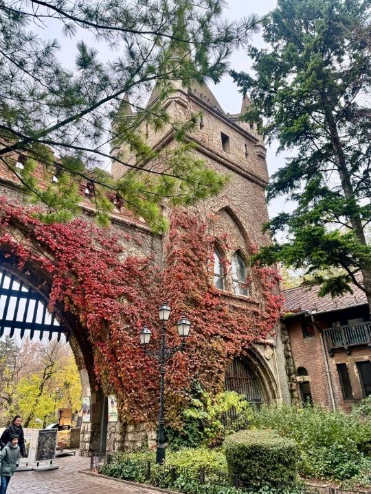 Budapest castle
