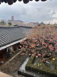 전주 여행, 전주 한옥마을 카페 추천
