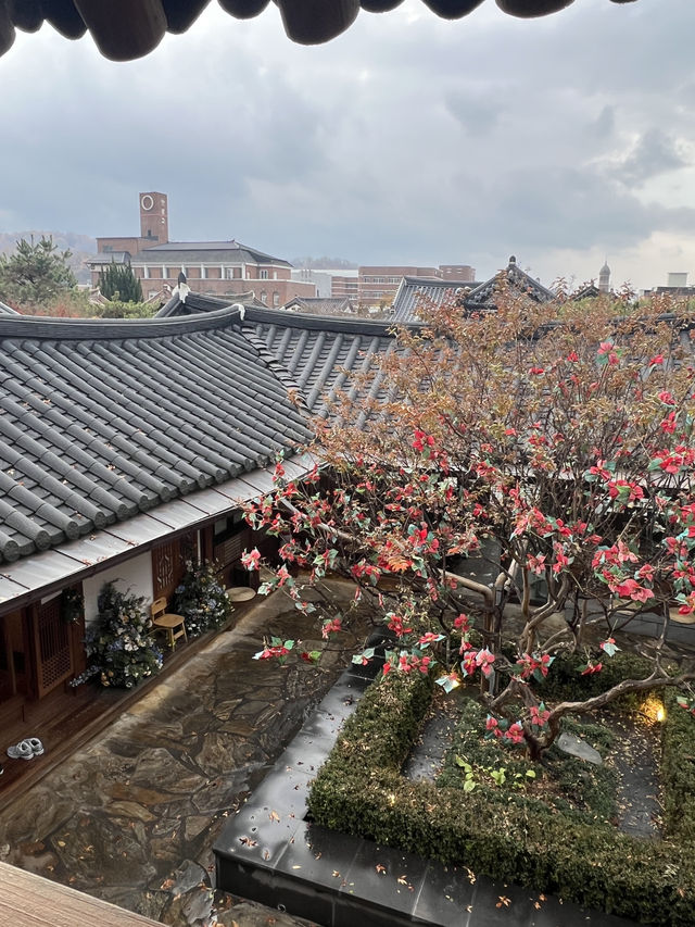 전주 여행, 전주 한옥마을 카페 추천 전주 여행, 전주 한옥마을 카페 추천