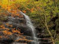 跟著松尾芭蕉的足跡～東北奧之細道賞楓