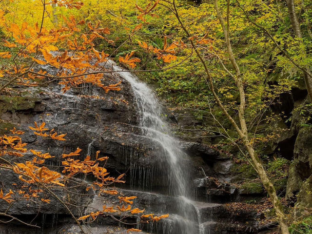 跟著松尾芭蕉的足跡～東北奧之細道賞楓