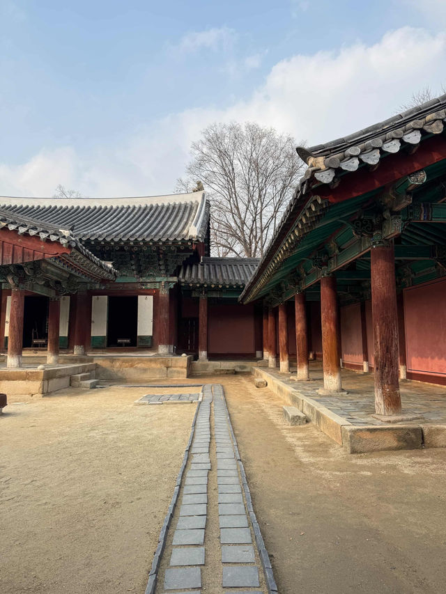 Sunlit Traditions🌳 Sunlit Traditions🌳