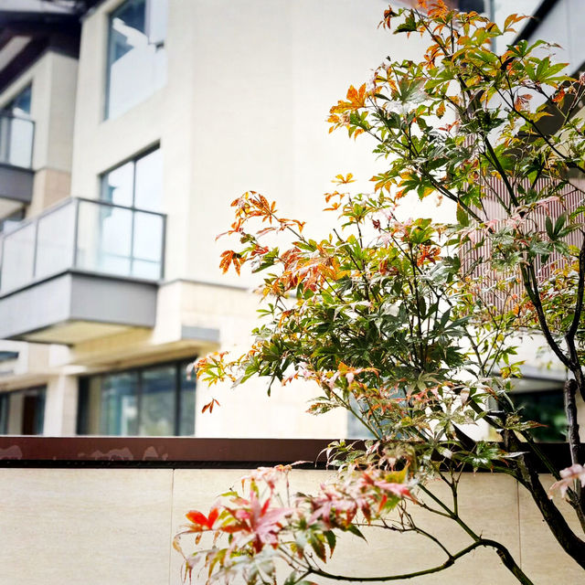 Nanjing Road Pedestrian Street, Shanghai: A Lively Urban Walk