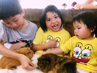 Five-Day Family Trip to Australia's Gold Coast - Animal and Nature Experiences