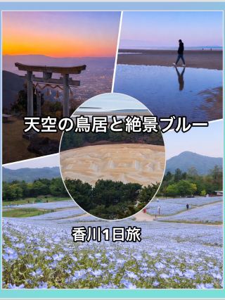 【카가와 1일 여행】천공의 도리이 센모토 모래 그림 부모가하마 네모필라