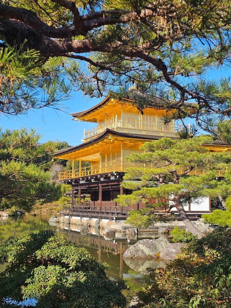 必見の世界遺産、金閣寺。 | Trip.com 京都