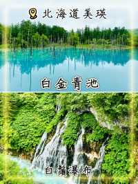 美瑛必訪：白金青池與白鬚瀑布，大自然神奇與夢幻