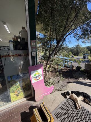 🍎 One of the Best Fruit Picking Experiences in Yarra Valley? My Honest Review of Rayner’s Orchard 
