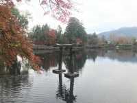 Epic Kyushu Road Trip: Scenic Spots, Cozy Towns & Vibes 🚗🍁