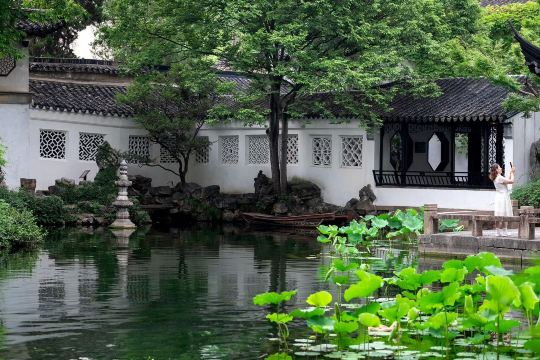 67-孔子家語　写真通りに外函の色褪せなどがややあります。 窓から差し込む光 | 留園 | Trip.com 蘇州