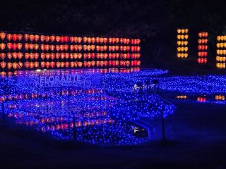 Florante Miyazaki Lantern Night.