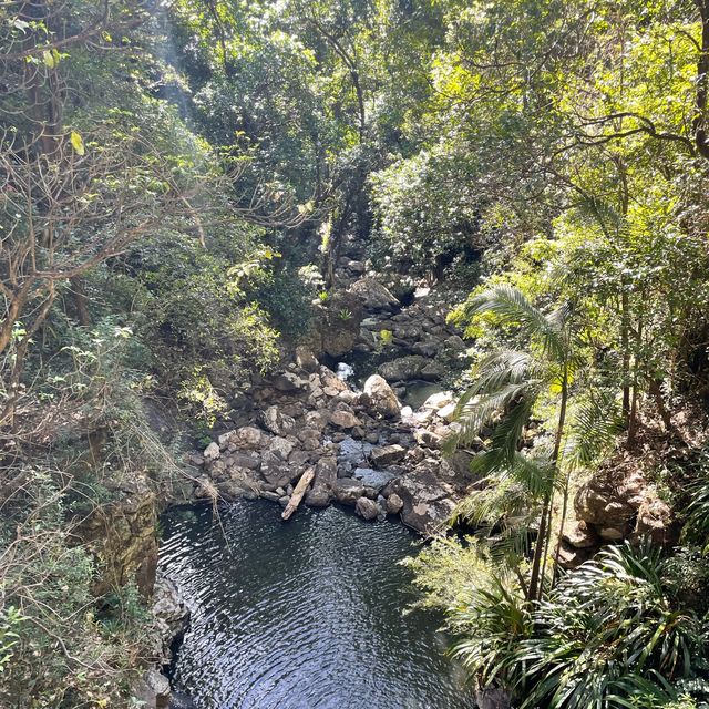 Lamington national park