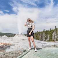 The Old Faithful @ Yellowstone National Park