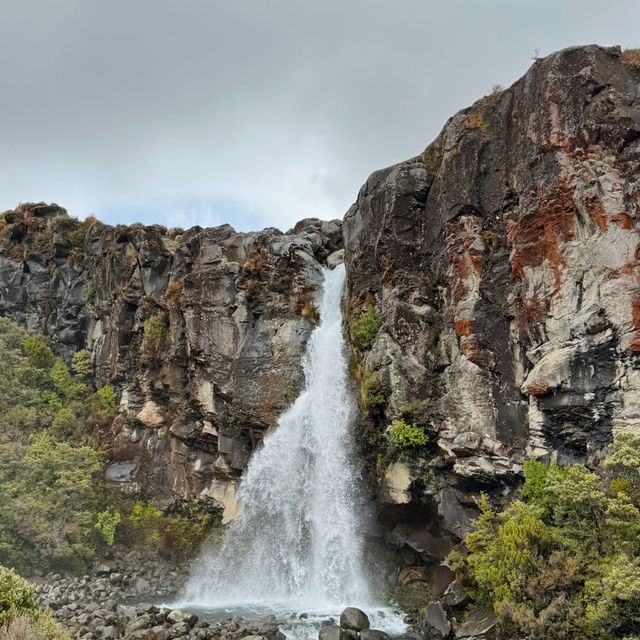 🚘🇳🇿🌄 10-Day Road Trip Through New Zealand’s North Island: An Unforgettable Adventure! 