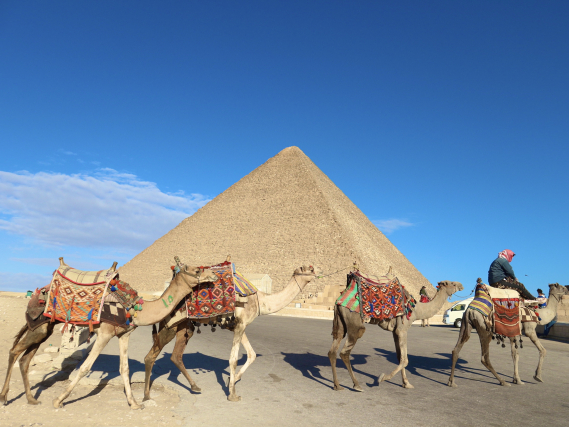 エジプト】ラクダに乗ってギザの三大ピラミッドを巡る🐪🌅 | Trip.com
