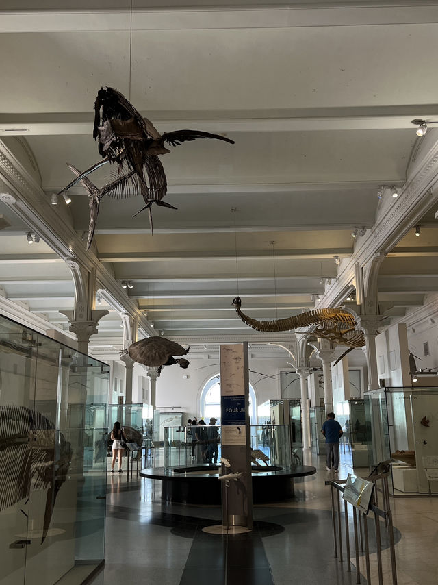人気映画night museum のロケ地？！アメリカ自然史博物館