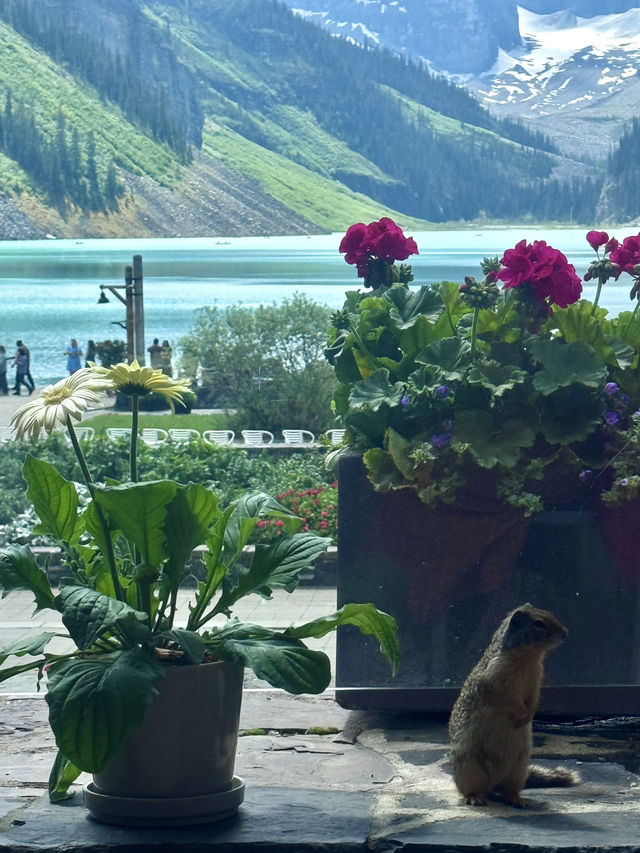 Unbeatable Views with a Delicious Bite!