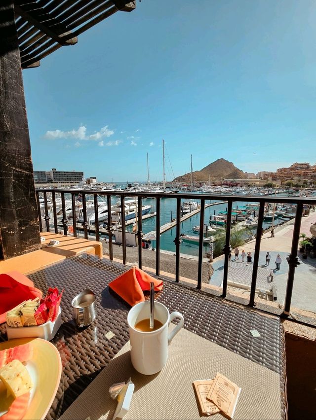 If the sea lions don’t convince you to stay… the rooftop hot tub will 😌💦🦭