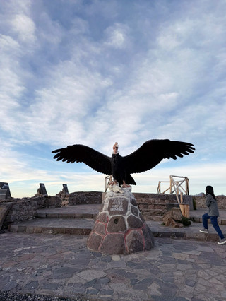 【Peru】Colca Canyon and Condors