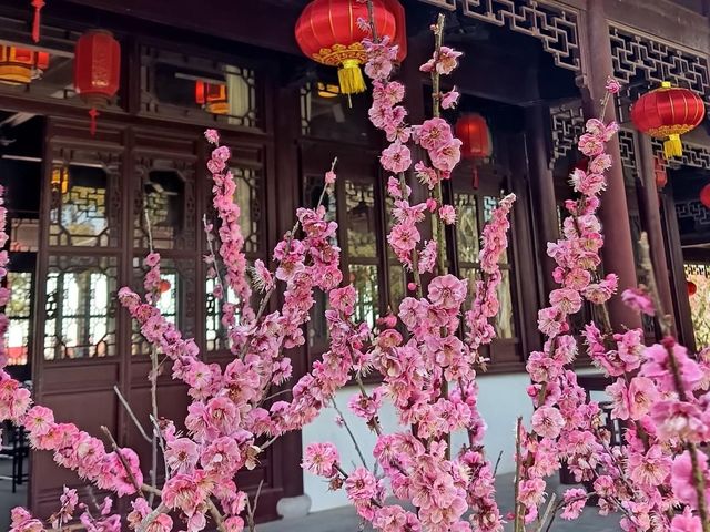 Shanghai Haiwan National Forest Park 🇨🇳