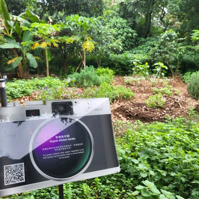 綠匯學院~ 新界首間警署