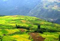 Sapa, Vietnam's Northern Highlands 🌄
