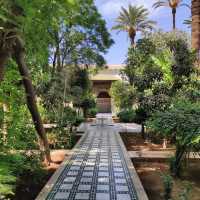 Majestic Moments in Marrakech's Medina